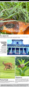 Mirror Images Aug. 1-2, 2026
